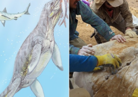 Rămășițele unui monstru marin au fost descoperite în deșert. Numai craniul măsoară un metru!