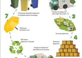 De ce să colectăm selectiv gunoiul și cum să o facem corect? Asociația CSR Nest a lansat un ghid gratuit