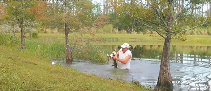 Un pensionar din Florida și-a salvat cu mâinile goale cățelul tras în adâncuri de un aligator (Video)