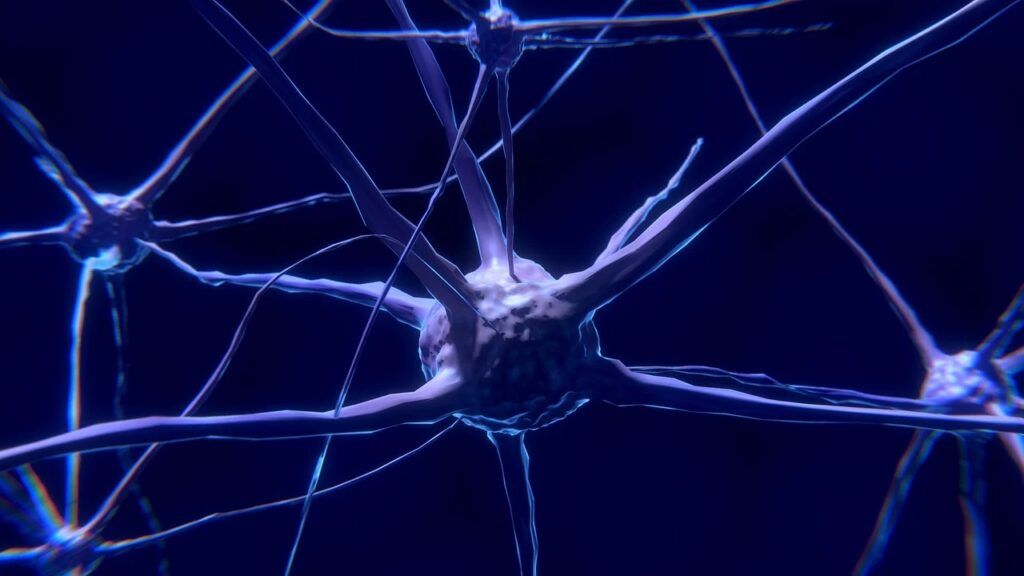 Boala Alzheimer ar putea fi reversibilă, cu recuperare neurologică completă – studiu preclinic