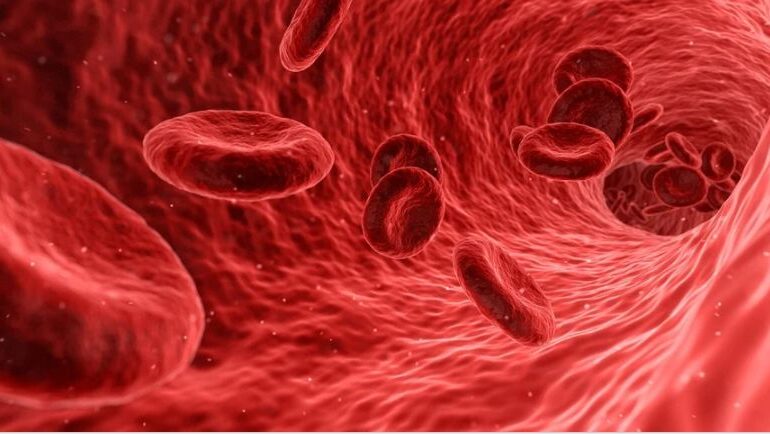 Reușită majoră în contextul pandemiei Covid-19: Au fost create celule stem ale căilor respiratorii pornind de la celulele mature din sânge