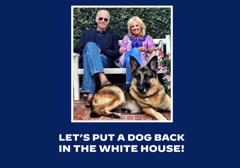 Câinii revin la Casa Albă cu o premieră. Biden aduce unul care a fost vagabond înainte de a ajunge prezidențial (Video)