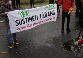 Protest în faţa Guvernului faţă de închiderea pieţelor: Supermarketurile-n câştig, ţăranii evacuaţi în frig (Foto&Video)