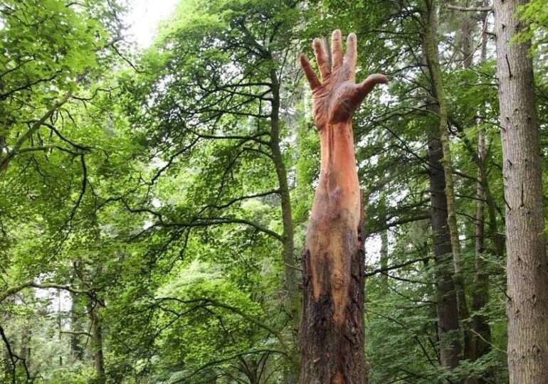 Ca un uriaş care îşi croieşte drum din adâncuri: O sculptură spectaculoasă cioplită în ciotul unui copac