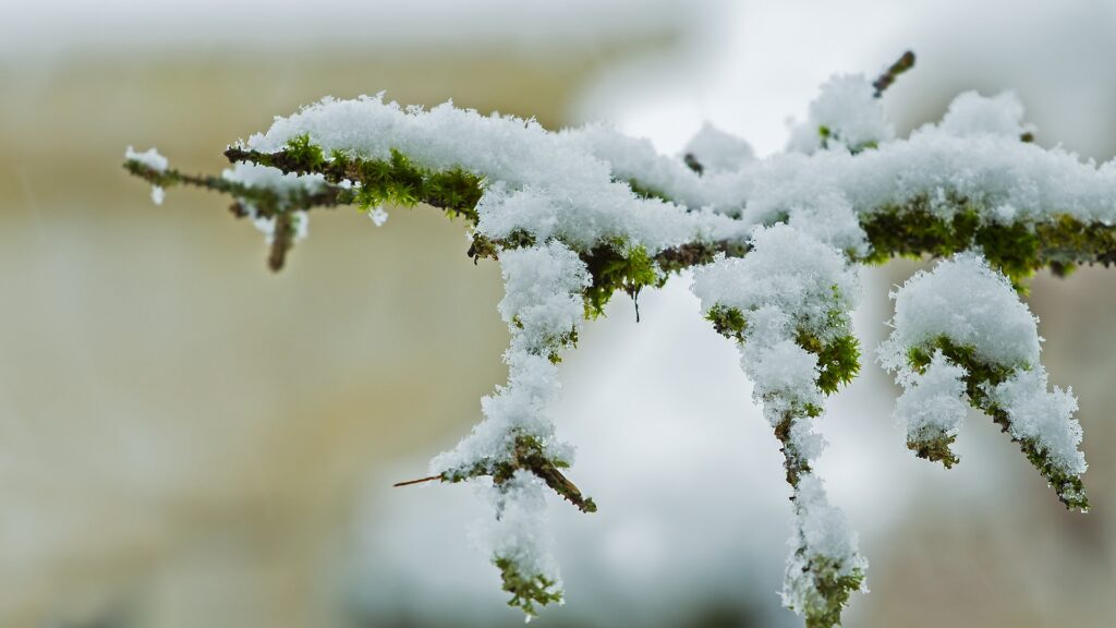 Informare meteo de vreme rece cu ploi, ninsori și vânt
