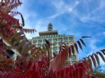 CCR a admis sesizările AUR privind conducerile TVR și Radio România. Hotărârile Parlamentului au fost anulate