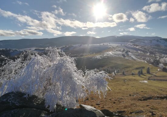După ger, vine brusc vreme mult mai caldă decât e normal pentru luna februarie