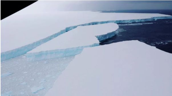 Încotro se îndreaptă cel mai mare aisberg din lume, de peste 4.000 de km2? Multe specii sunt în pericol