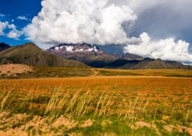 20 de noi specii descoperite în Pădurea de nori a Boliviei: „O vale neatinsă care debordează cu biodiversitate”