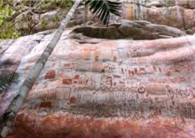 Desene vechi de 12.500 de ani au fost descoperite în jungla amazoniană. O adevărată Capelă Sixtină antică (Video & Galerie foto)