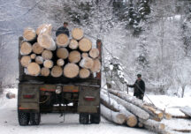 camion lemne