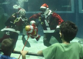 Când Moș Crăciun nu mai vine cu sania, ci într-un acvariu cu pești (Galerie foto)