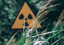 Niveluri de radiații periculoase, descoperite în recoltele din afara zonei de excludere de la Cernobîl, la 34 de ani de la dezastrul nuclear