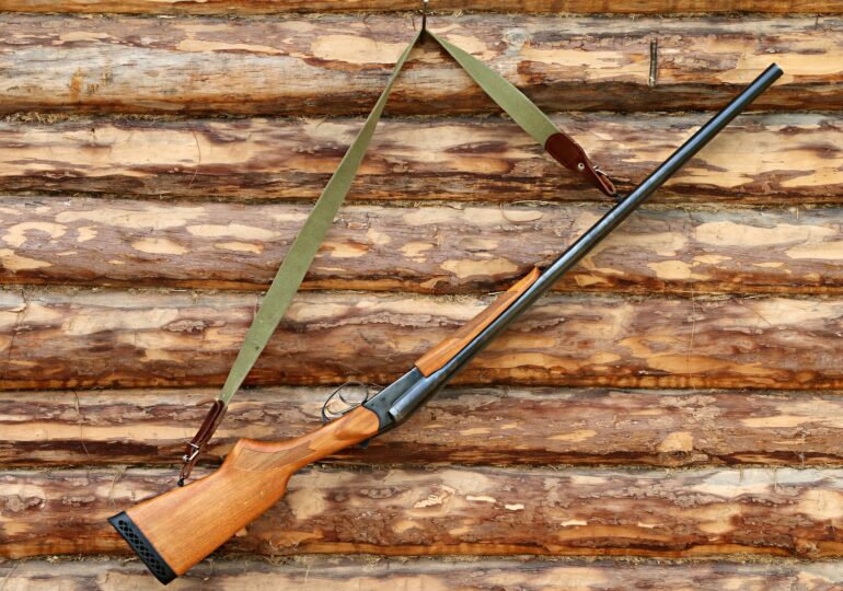Un bărbat a fost împușcat mortal la o partidă de vânătoare, în Hunedoara
