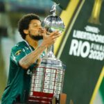 Palmeiras a câștigat Copa Libertadores după o finală nebună cu Santos (Video)