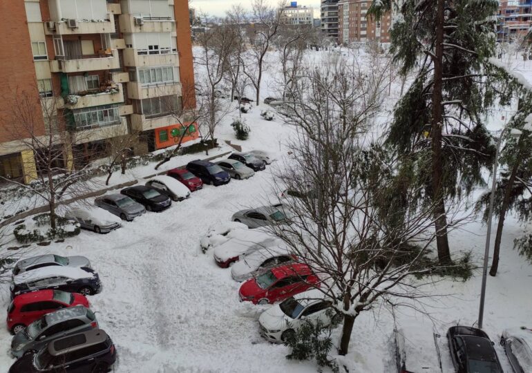 Furtuna Filomena a adus cea mai abundentă ninsoare din ultimii 40 de ani la Madrid: S-a mers cu schiurile şi cu sania trasă de câini  (Galerie video)