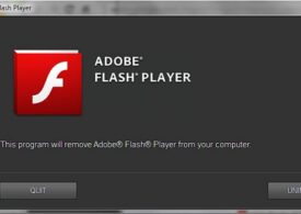 Sfârşitul pluginului Flash Player: Adobe nu-l mai susţine începând de la 1 ianuarie şi recomandă dezinstalarea