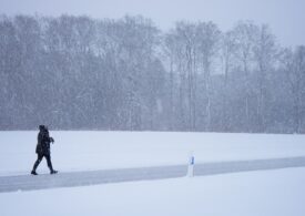 Meteo: Urmează două zile cu ninsori și viscol