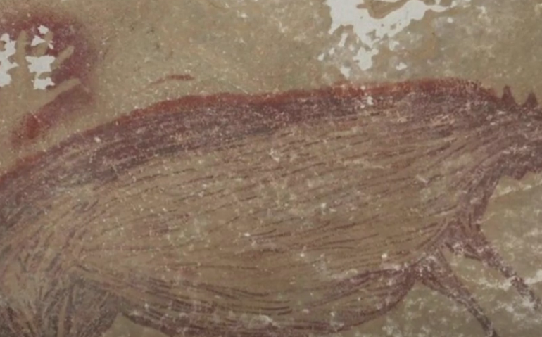 Cea mai veche pictură rupestră, descoperită într-o peşteră din Indonezia (Video)