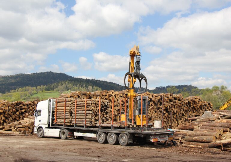 Ministrul Mediului laudă aplicația SUMAL: A reuşit performanţa de a urmări tot lemnul care se transportă în România
