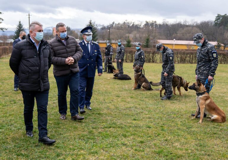 Câinii polițiști sunt antrenați la Sibiu să detecteze bolnavii de COVID-19