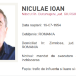 Ioan Niculae urmărit