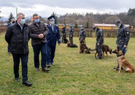 Pe Aeroportul Sibiu vor fi aduși câini antrenați să depisteze persoanele cu Covid