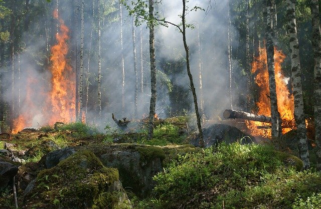 Avertizare de călătorie de la MAE pentru Australia: Sunt incendii în zona de vest