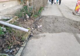 Primăria lui Fritz a rămas fără hârtii tipizate după ce a dat amenzi de 170.000 de lei pentru gropile din Timişoara