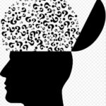 Ce se întâmplă în creier după o noapte albă