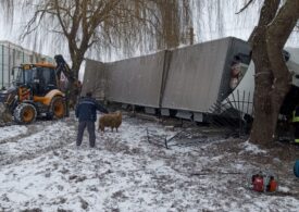 Un tir încărcat cu oi a intrat în gardul unei școli (Foto)