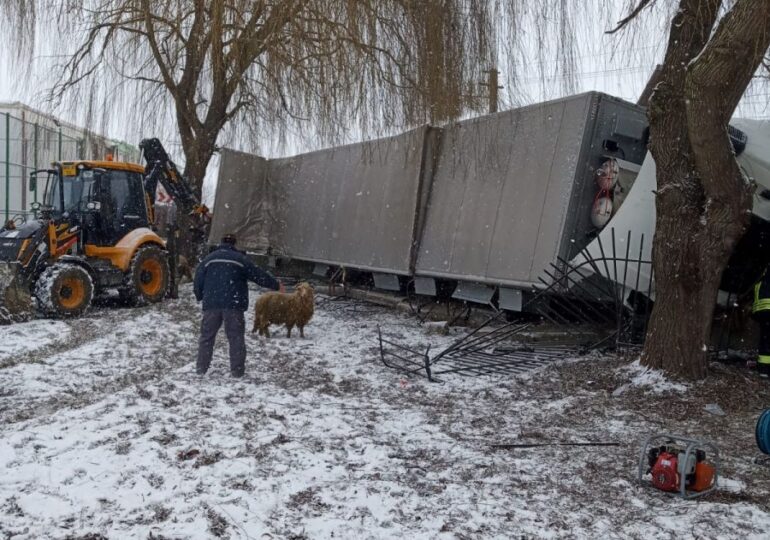 Un tir încărcat cu oi a intrat în gardul unei școli (Foto)