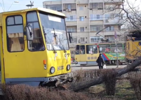 Ploiești: Un tramvai deraiat a lovit o mașină și s-a oprit într-un copac din parc, unde va rămâne până la noapte