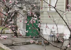 Meteo: Încă puțin și vine primăvara