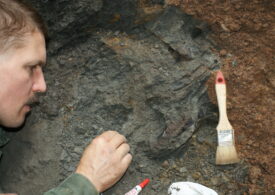 O hartă veche de un secol aduce dovezi ale vieții din Cretacic în Țara Hațegului