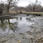 Primăria cumpără 4 de hectare din Parcul Plumbuita ca să nu se facă blocuri