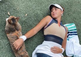 Belinda Bencic cere ca la toate turneele să fie aduse animale de companie