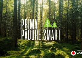 Prima pădure inteligentă din România: Cum ajută la combaterea defrișărilor ilegale