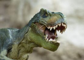 O echipă condusă de un paleontolog maghiar a redescoperit un sit al dinozaurilor în Transilvania