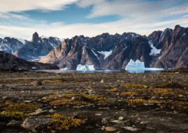 Groenlanda nu era acoperită de gheaţă în urmă cu 1 milion de ani
