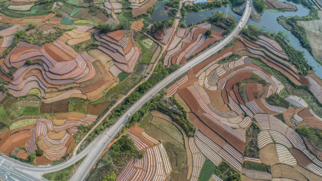 Spring field in Guangxi is as colorful as a palett