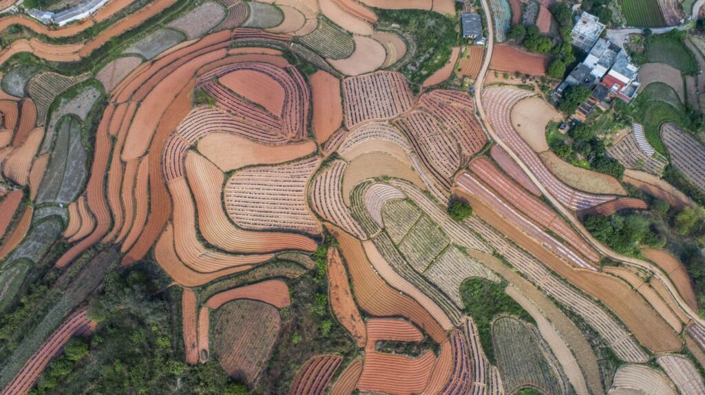 Spring field in Guangxi is as colorful as a palett