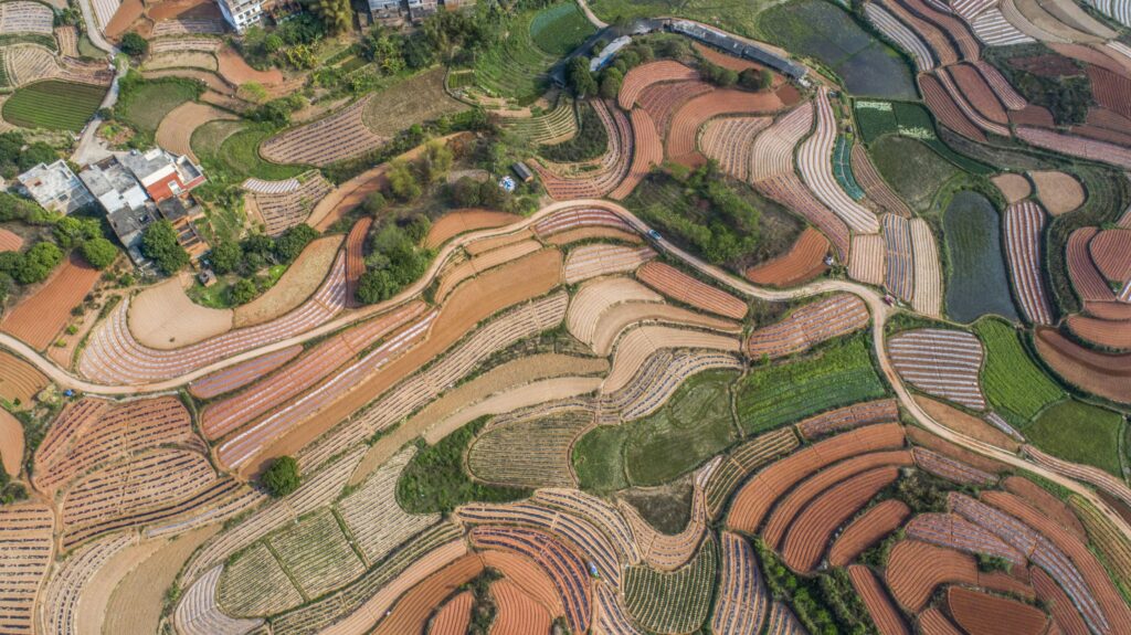 Spring field in Guangxi is as colorful as a palett