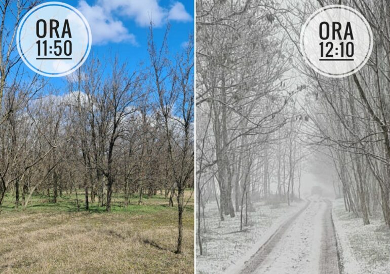 Primăvară și iarnă la interval de 20 de minute. Ministerul Mediului: Schimbările climatice sunt deja vizibile pentru oricine!