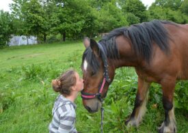Caii sunt mai ascultători dacă li se vorbește ca unor bebeluși. În loc să strigi la ei, mai bine-i alinți! (Studiu)