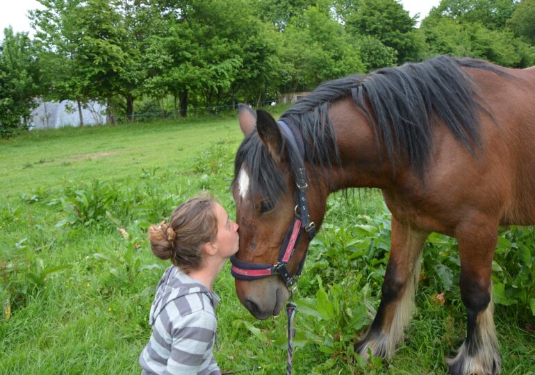 Caii sunt mai ascultători dacă li se vorbește ca unor bebeluși. În loc să strigi la ei, mai bine-i alinți! (Studiu)