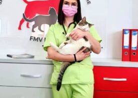 Un spital veterinar de urgenţă a fost deschis la Universitatea Agronomică din Iaşi și funcționează non stop