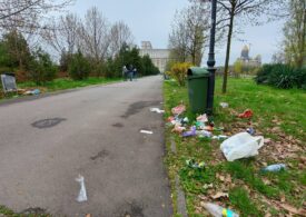 Parcul Izvor, de lângă Parlament, este plin de gunoaie. După ce că e lipsit de pază, nimeni n-a venit să-l curețe (Galerie Foto)