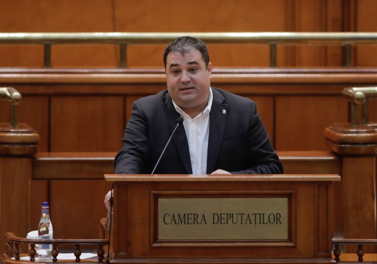 Azi a fost zi de bâlci la Parlament. Deputatul PSD Solomon a insultat-o pe Cristina Prună (USR): Nu sunteţi cel mai prost preşedinte de şedinţă, ci cel mai slab