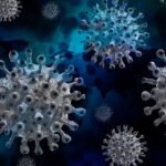 OMS cere cooperarea Chinei: Am putea avea o ultimă şansă să aflăm originea coronavirusului